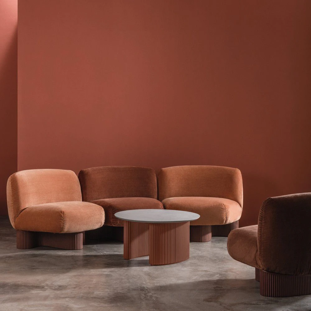 BOLETE OCCASIONAL – Image 2