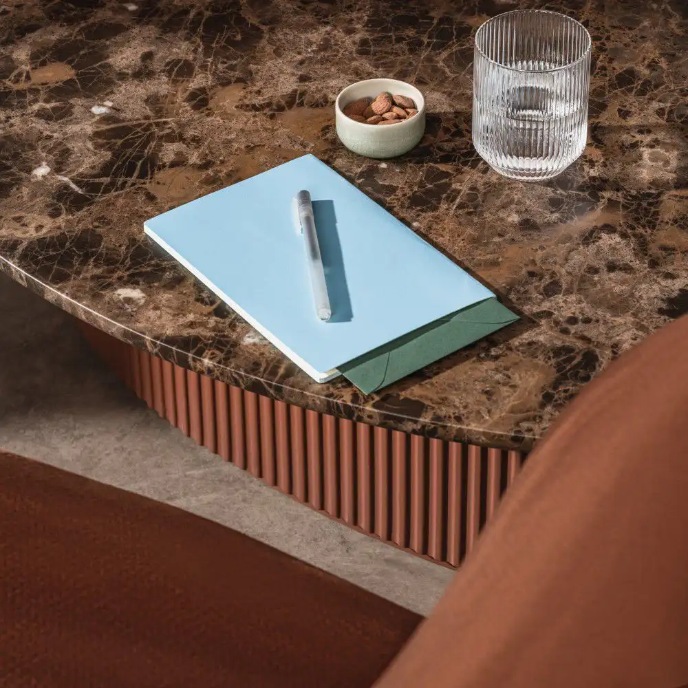 BOLETE OCCASIONAL – Image 3