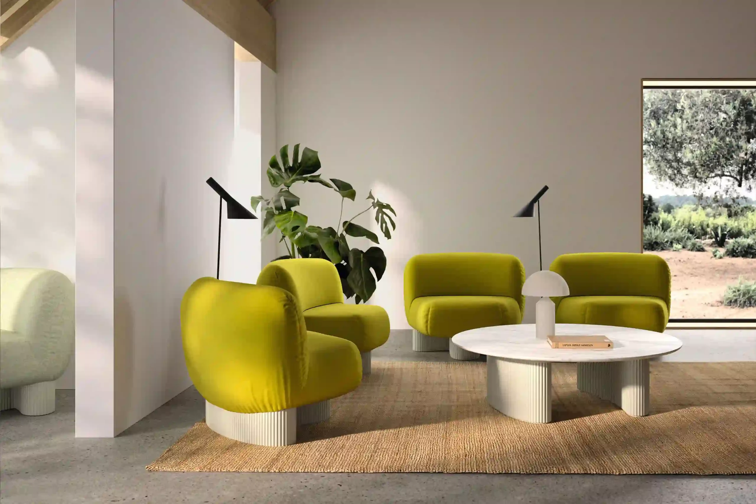 BOLETE OCCASIONAL – Image 4