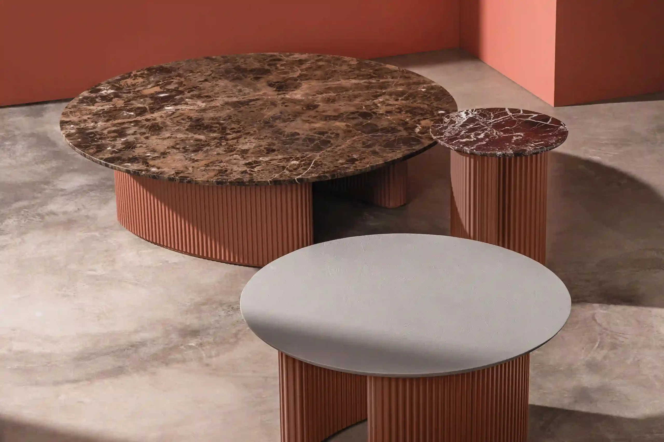 BOLETE OCCASIONAL – Image 5