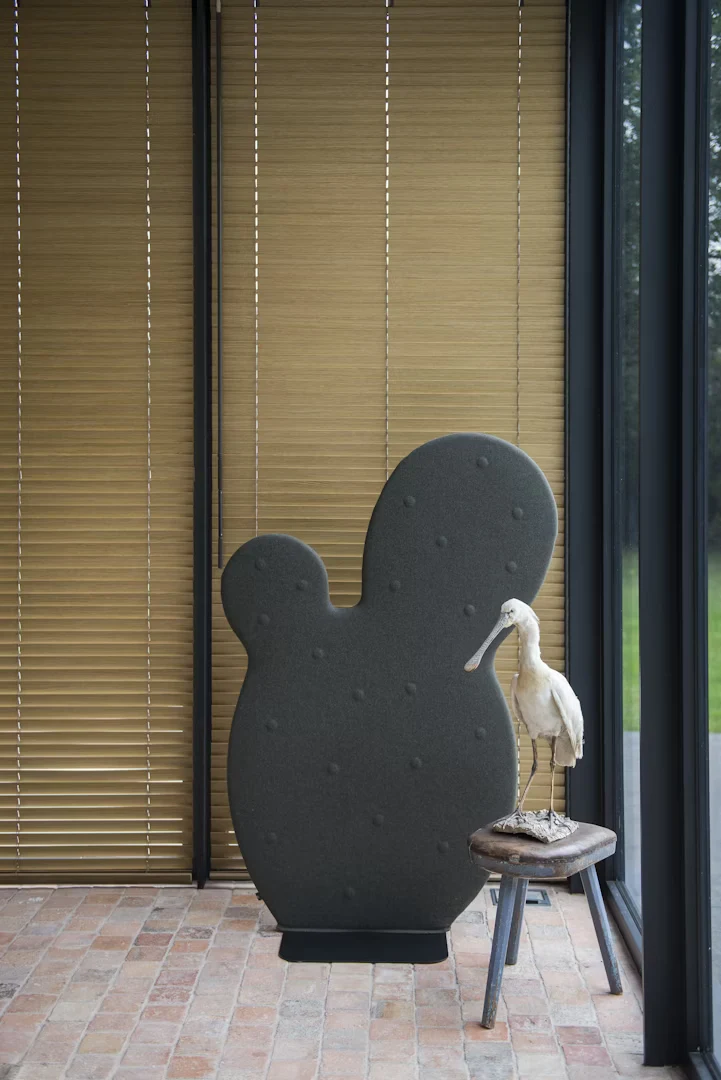 BUZZICACTUS – Image 7