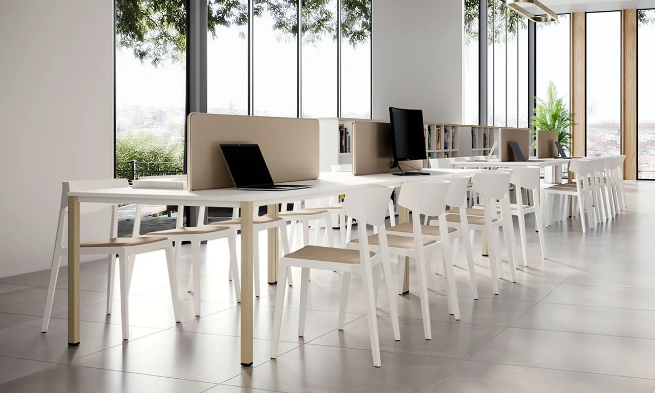 COLLECTIVA – Image 6